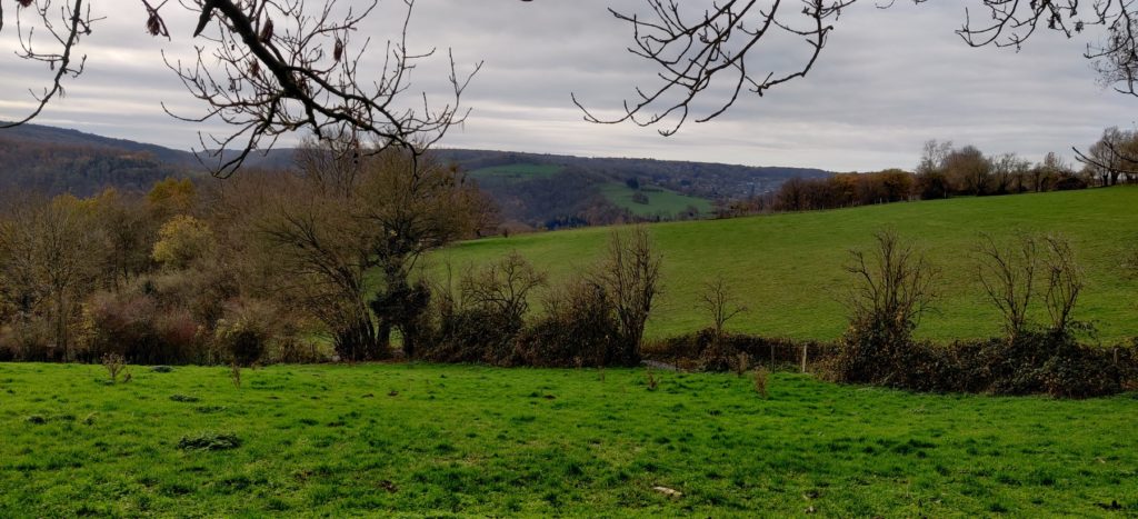 Un paysage croisé au détour de la Balade du Tilleul proposé par la Ferme des Loups