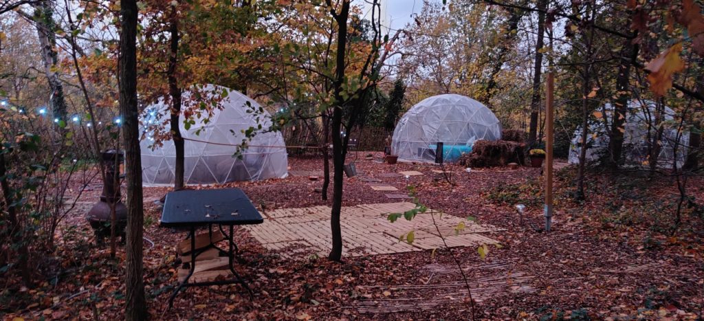 Les bulles au milieu des bois