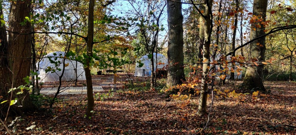 Vue des bulles au milieu des bois